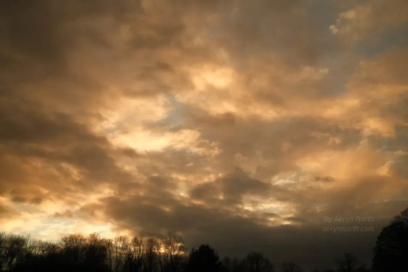 A dramatic sky of golden back-lit clouds with small patches of blue showing through. A line of trees is silhouetted in the distance.