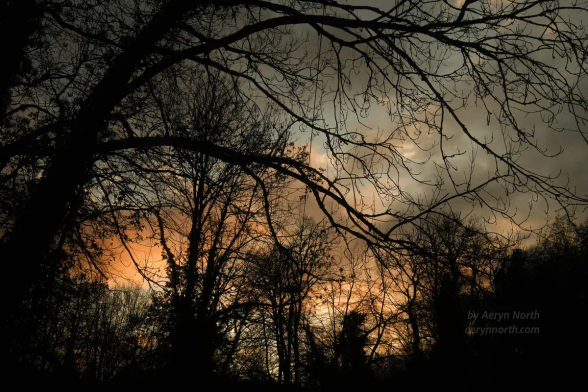A dramatic sky of orange and grey clouds behind silhouetted bare-branched trees.