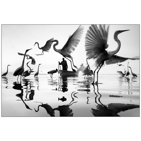BW pic of herons surrounding a fisherman's boat.