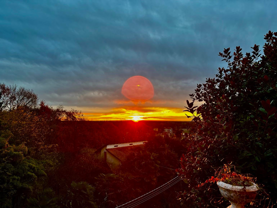 A vibrant sunrise over a landscape, with clouds and a warm glow. Green foliage and a potted plant are visible in the foreground, while silhouettes of trees frame the scene.