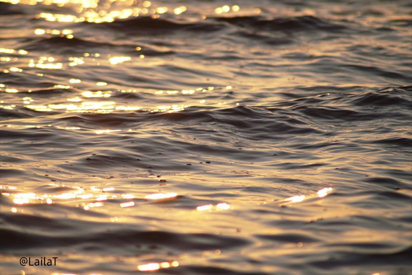 Von kleinen Wellen durchzogenes Meerwasser im Sonnenuntergang. Dadurch erscheint das Wasser golden und glitzernd.
