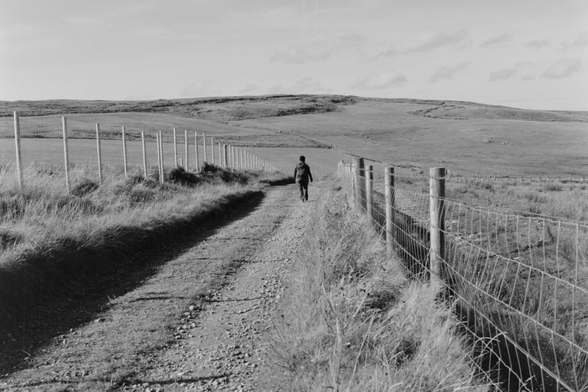 Yashica MAT124G | Kodak Tri-X 400 | Shot at 320 + Med Yellow Filter | Developed in XTOL
Looking down the path between cow fields.  More fields in the distance