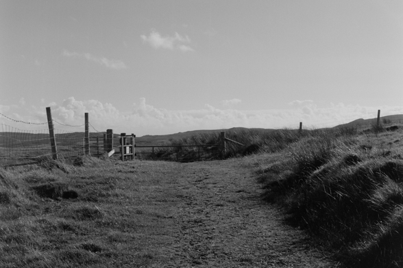 Yashica MAT124G | Kodak Tri-X 400 | Shot at 320 + Med Yellow Filter | Developed in XTOL

Another view up a path, there is a gate in the cow fence between pastures