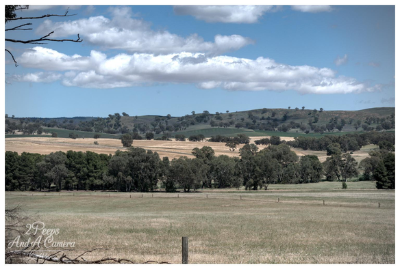 A scenic colour photograph of a deep Australian landscape. The foreground is a flat, dry, grassy field partially visible behind a fence.

A dense band of dark green trees runs across the middle ground. Beyond this, the land transitions into a patchwork of harvested and golden fields, leading up to distant rolling hills dotted with eucalyptus trees.

A clear blue sky dominates the upper third, featuring a dramatic horizontal band of bright, white cumulus clouds.