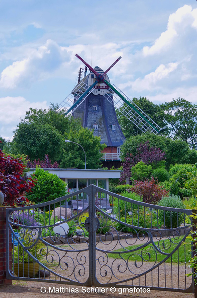 Metallgartentor dahinter ein Garten und eine Windmühle