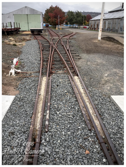 A high angle photo looking down the centre of three rusty, disused railway tracks converging at a switch in a gravel yard.

The two foreground tracks are flanked by concrete slabs. In the background, there is a low, pale green shed on the left, an old carriage on a siding, and trees with red and orange autumn foliage against a hill.