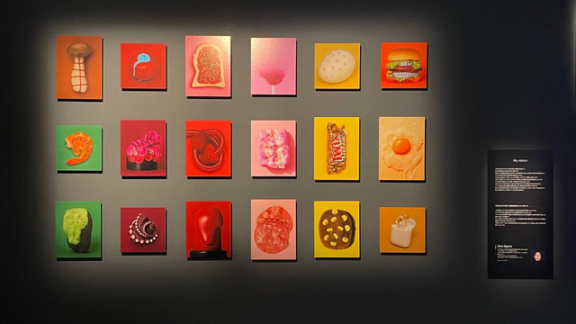 iPhone photo of photography work on display at the 2025 Graphgate exhibition at Canon S Tower Gallery, Shinagawa Inter City. 