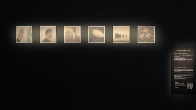 iPhone photo of photography work on display at the 2025 Graphgate exhibition at Canon S Tower Gallery, Shinagawa Inter City. 