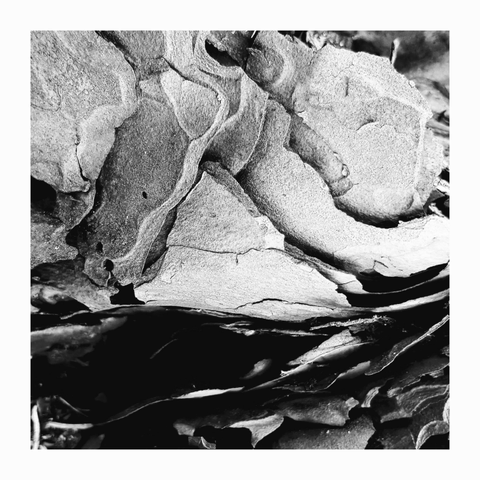 Square black-and-white photograph with a grainy texture. Something dark flows in the foreground, above which structures in grey and black rise up. Towering mountains, clouds. In the space between wakefulness and sleep, a wish, a memory, a fever dream.