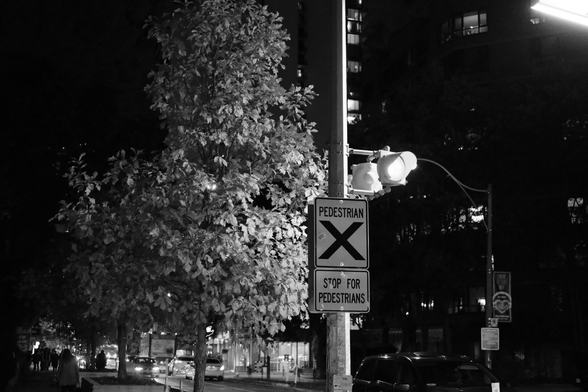 Night. The pole of a crosswalk is just right of centre, its signage visible in the glow of the streetlamps. The warning light above the signs aims toward the right of the frame. Behind it, the leaves of a tree are caught in the same lamp light. Along the bottom of the frame, the distant lights of the intersection at Church and Wellesley illuminate the car and pedestrian traffic.