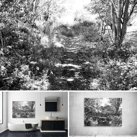 Above monochrome photograph featuring the design- 

Scottish Highlands Monochrome Nature Trail.

Lower left design on a Canvas Print on a bathroom wall. 

Lower right design on a Canvas Print on an exhibition wall.

I took this photo ( using a creative monochrome filter which gives a grainy effect when enlarged) during a lovely summer nature walk through the Scottish Highlands. 

Features a narrow single track passing through a vibrant Birch forest, flanked by tall trees and dense foliage. 

The sunlight filters softly through the leaves. 

Mockups combined in a grid format in canva.com 

Click links on the main post for options.
