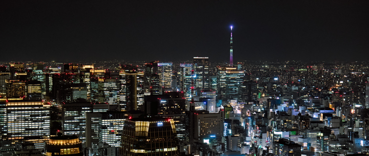 Night view of Tokyo with the Skytree in the background