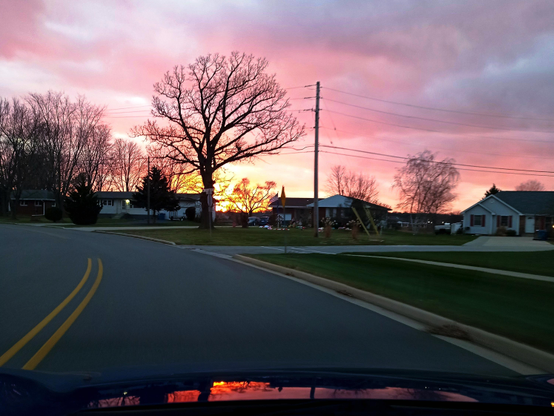 A view of a tree silhouetted by a setting sun from a car on a road in a neighborhood. The sky has some pink clouds. The sun is yellow on the horizon. There are spots of blue in the sky. Houses are mid frame.