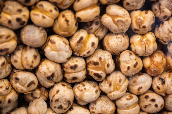 Macro shot of chickpeas, looking particularly radiant.