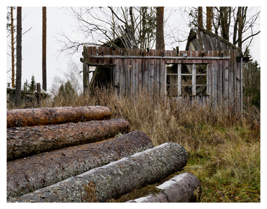 En liggande bild på ett förfallet trähus som kan ha varit rött en gång i tiden. Taket är rasat och inget glas finns kvar i fönstret som är delat i tre gånger tre rutor. I förgrunden ligger stockar i riktning mot huset. Mellan är högt gräs. En grå himmel mellan enstaka höga träd i bakgrunden.