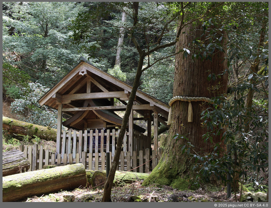 Mt. Kurama, Kyoto, Japan.
