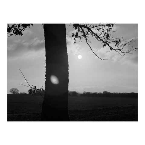 A tree trunk against the light of the setting sun. The flare creates two spots of light, like two suns. (Version françæ) Tronc d’arbre à contre-jour dans læ lumière dal soleil couchanx. Le flare crée deux taches lumineux, comme deux soleils.