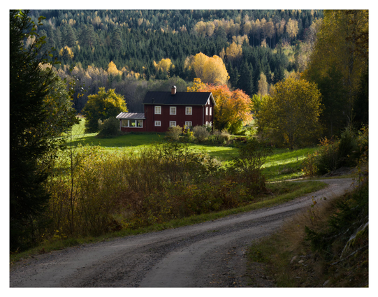 En liggande bild på ett rött trähus med grön gräsmatta och en höstfärgad blandskog i bakgrunden. Förgrunden är en grusväg som slingrar sig ned, men inte till huset.