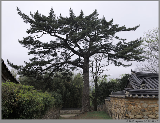 Haenam, Jeollanam-do, Korea.