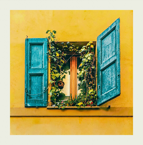 A vibrant, yellow stucco wall with a small window. The window has two turquoisey, weathered wooden shutters, one open and one half closed. Green vines with leaves and small red flowers climb around the window inside windowsill. There is a little brown birdhouse on the left attached to the plants. The shutters show signs of age and texture.