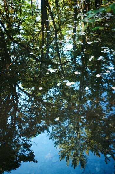 Town of Ulysses, Finger Lakes, upstate New York. October 3, 2025, 6:21 pm.

Canon F-1 | FL 35mm f/2.5 | Portra 160 | 1/30 sec at f/2.5 | dev/scan The Darkroom Lab | traditional treatment in LR/PS.

It was two or three minutes after sunset, and the light was like this. No time to get the tripod, so needed to shoot wide open and chose focus. The reflection of the trees worked best, but one's eye must be comfortable with the out-of-focus leaves on the surface and the not-quite sharp leaves and rocks in the bed of the pond.