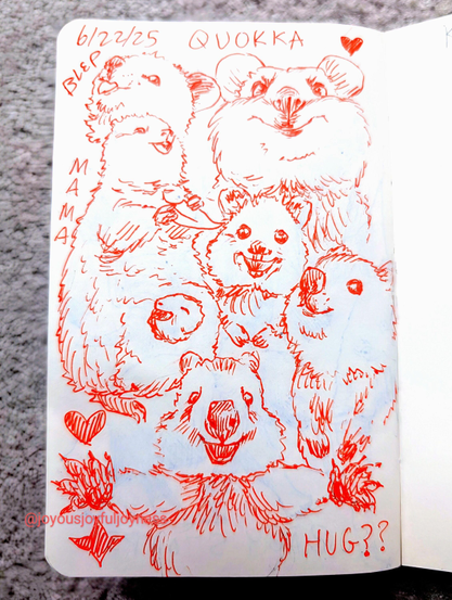 Sketchbook page of 7 Quokkas in orange pen. The top has text that reads 6/22/25 and Quokka. The top left is a Quokka with its tongue out and the word Blep. To the right is a Quokka looking forward at the viewer. Below and to the left is a mama Quokka with a smiling baby in her pouch and the word Mama next to her. To the right are two quokka faces. At the bottom is a Quokka with its paws outstretched and the word Hug?? and a star and heart next to it.
