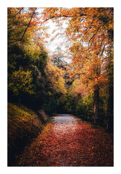 A photo in a pathway in a park (Villa Spada) in autumn. The ground is covered with fallen leaves mostly orange and brown, creating a leafy carpet. The trees on either side of the path have foliage in shades of yellow, orange, and green. The path leads into the distance, where the trees appear denser and the light is subdued. The top of the frame shows the branches stretching towards the sky, which is visible in the gaps between the leaves.