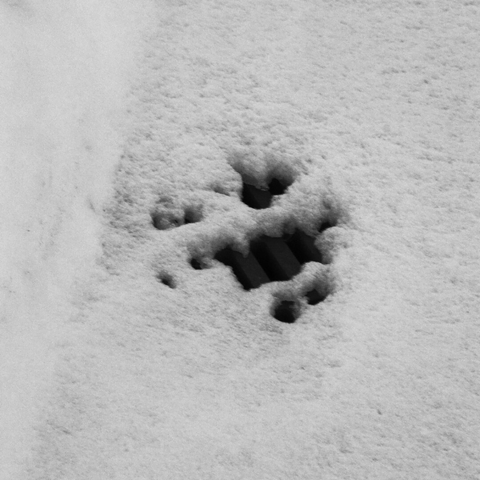 Black and white photo of a metal rainwater sewer grate, partially revealed from under a layer of snow.