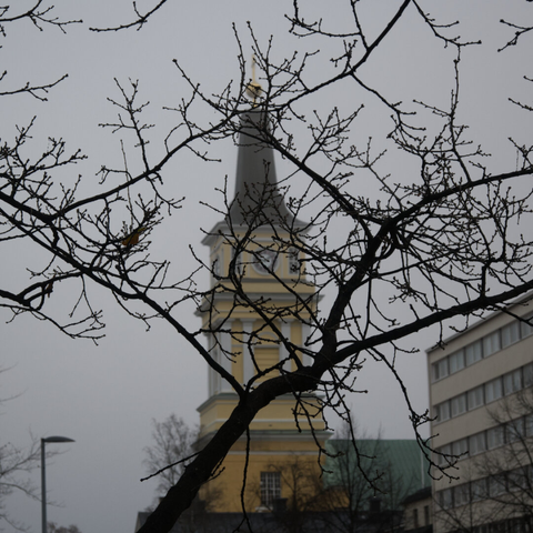 Bare tree branches spread before a church steeple against a gray overcast sky.
