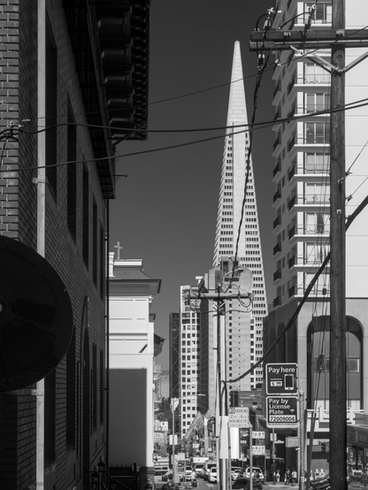 The Transamerica Pyramid appears between other tall buildings