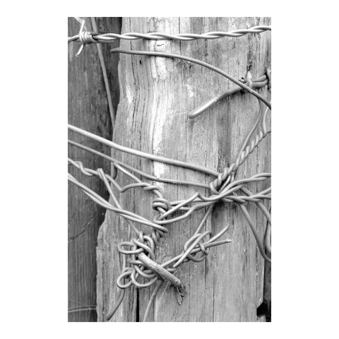 Wires mess nonsense on a post. (Version françæ) Bordel de fils de fer insensæ sur poteau.