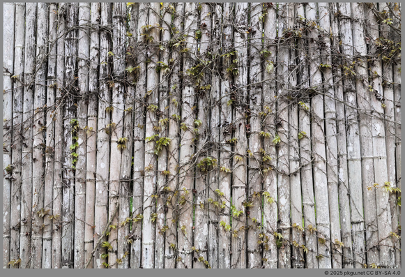 Daeheungsa, Haenam, Jeollanam-do, Korea.