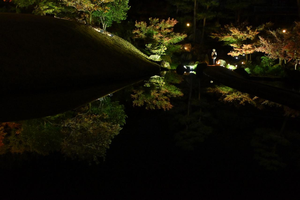 池を縦断できる道の両脇に映り込んだ、赤くなりきっていないイロハモミジ。/ 2025.11.29 梅小路公園・朱雀の庭から