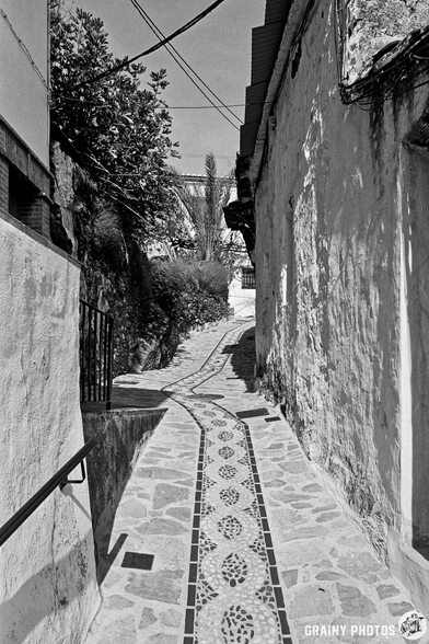 A narrow, winding alleyway with a stone path adorned with decorative tiles, flanked by whitewashed walls and overhanging greenery, creating a serene and picturesque atmosphere in black and white.
