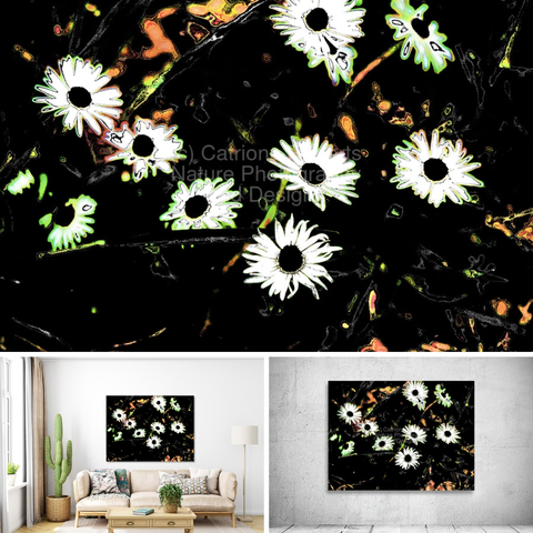 Above coloured photograph featuring the design- 

Abstract Summer Daisies in the Darkness.

Lower left design on a Canvas Print on a wall above a couch. 

Lower left design on a Canvas Print on an exhibition wall.

I took a photo of Daisy flowers and laterally colour digitally edited these to enable this modern abstract floral piece to emerge. 

Features a group of bright daisies standing out vividly against a dark backdrop. 

The stark contrast highlights the delicate petals and centers. 

Mockups combined in a grid format in canva.com

Click links on the main post for options.



