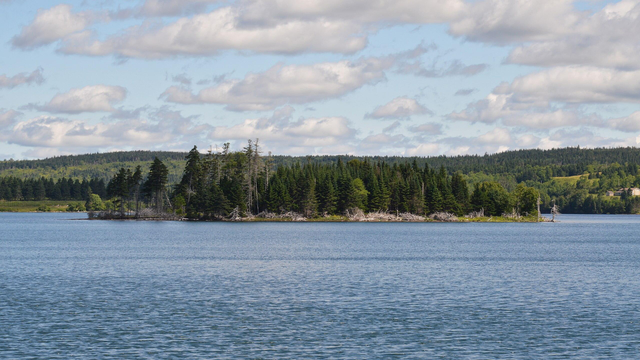 A photo of a large body of water with a small island in it. The island and far shore are covered in conifer forest. The sky is blue with many small white clouds in it.