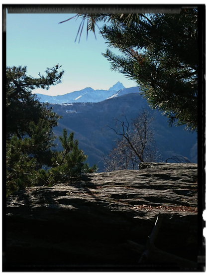 Tra due conifere sui lati destro e sinistro, un paesaggio montano con una cima sullo sfondo