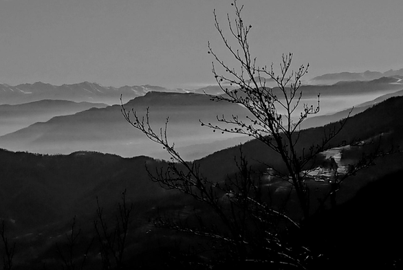 Creste montane tra le nebbie. Sul lato destro dell'immagine un albero in primo piano