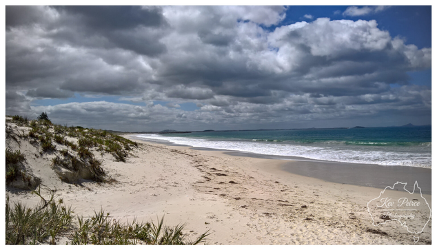A wide, sweeping stretch of white sand beach meets the turquoise ocean under a dramatic sky filled with large, grey, and white clouds.  On the left, a large dune covered with native grasses and a single pine like tree slopes down to the sand. Gentle waves roll onto the shore.