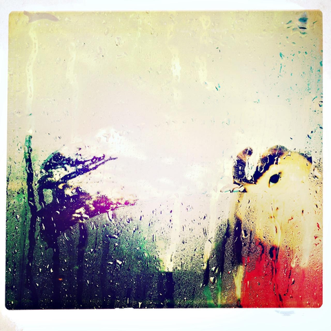 A little girl peers out a rainy car window