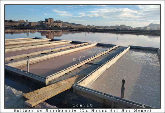 Fotografía en color de las salinas de Marchamalo. Estas salinas, recuperadas del abandono, se encuentran en el inicio de la Manga del Mar Menor (termino municipal de Cartagena, España). En primer plano, aparecen los espacios que ha habilitado ANSE para producir flor de sal.