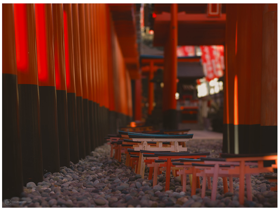The large red torii gates and the little tiny ones, which are ones that used to be in the back of one of the rooms of the shrine before they renewed it. Which people had bought for luck, then brought back to cast into a room at the end of the year. To then buy another little gate for the next new year's luck. When the shrine was renewed a few years back, they totally redesigned everything and used the old gates outside like this. Hasselblad 503CW, CFV50c digiback and Zeiss-Planar 80mm f/2.8.