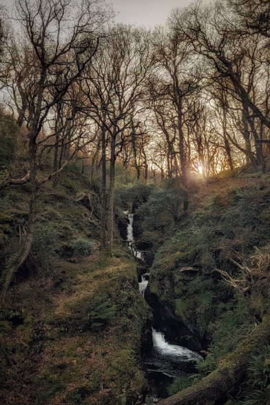 A vertical photograph capturing a serene waterfall cascading down a narrow, moss-lined gorge within a dense forest. The trees are tall and leafless, silhouetted against a bright, golden light from the setting sun peeking through the branches in the background. The scene is moody and atmospheric, contrasting the dark, shadowed ravine with the warm glow of the sky above.