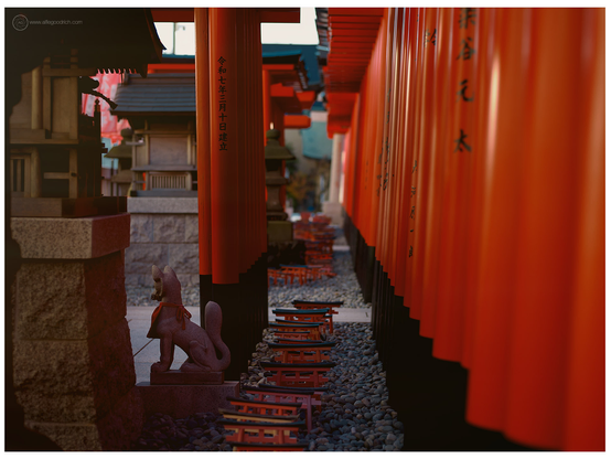 Red torii gates, inari fox statues, the little red gates on a pebble surface. The way they renewed the shrine at Anamori-inari a few years ago is one of the best renewal jobs I've ever seen done on a shrine in Japan. Contemporary but not kitsch at all. 

Hasselblad 503CW, CFV50c digiback and Zeiss-Planar 80mm f/2.8.