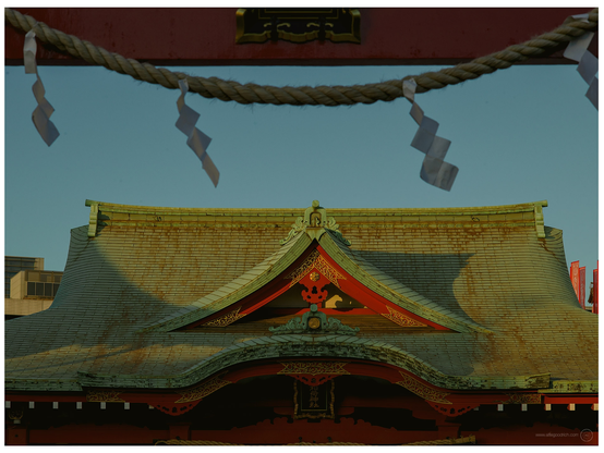 The main shrine building at Anamori-inari Shrine, Ota-ku, Tokyo. Shot through the gate at the front, with the white paper zigzags - called shide (\(紙垂\) - seen tied to the rope (Shimenawa (標縄/注連縄/七五三縄, lit. 'enclosing rope'). The torii gate separates the physical world from the spiritual, while the shimenawa symbolizes purity and marks the entry into a holy place. 

Hasselblad 503CW, CFV50c digiback and CF150mm f/4