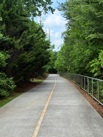 A paved, tree-lined walking path