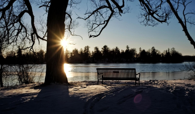 The late afternoon sun partially obscured by a large leafless tree begins to set across a lake. Snow covers the ground and a bench can be seen beside the water. The silhouettes of a tree can be seen in the foreground and trees in the far shoreline.