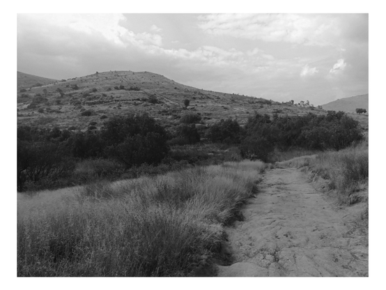 a B&W photo of a hill near my house where I usually go to ride my bike to get better physical condition.