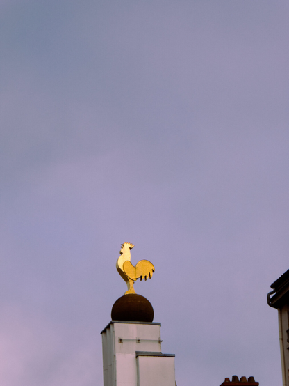 Picture of a golden statue of a rooster, on top of a building. A purple-ish sky is in the background.
