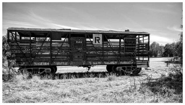 A low angle, black and white photograph of an old, decommissioned wooden railway stock carriage with slatted sides, sitting in a field of dry grass and weeds

The carriage is showing signs of age and wear. The carriage has a letter 'R' painted on a sign near the centre. The background features sparse trees and a bright sky with wispy clouds. Photo by Kev Peirce.